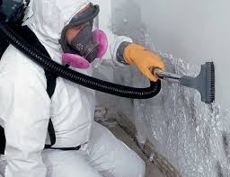 Best Mold Remediation for Healthcare Facilities in Sheldon, IL